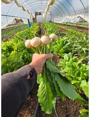 3526 Front Street, Palisade, CO 81526