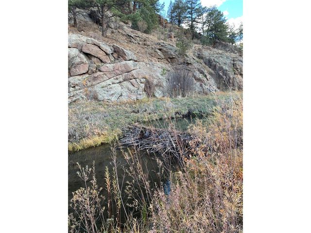 1840 Lakemoor Dr, Florissant, CO 80816