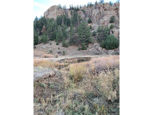 1840 Lakemoor Dr, Florissant, CO 80816