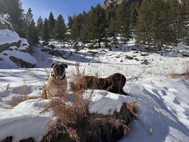 1840 Lakemoor Dr, Florissant, CO 80816