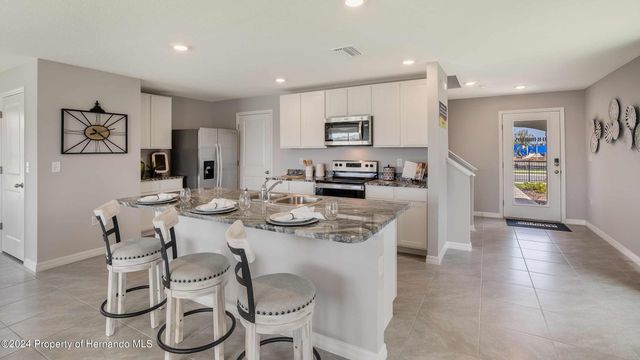 31097 Silver Stage Drive, Brooksville, FL 34602