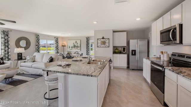 31097 Silver Stage Drive, Brooksville, FL 34602