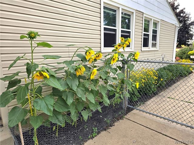 161 Longmeadow Rd, Amherst, NY 14226