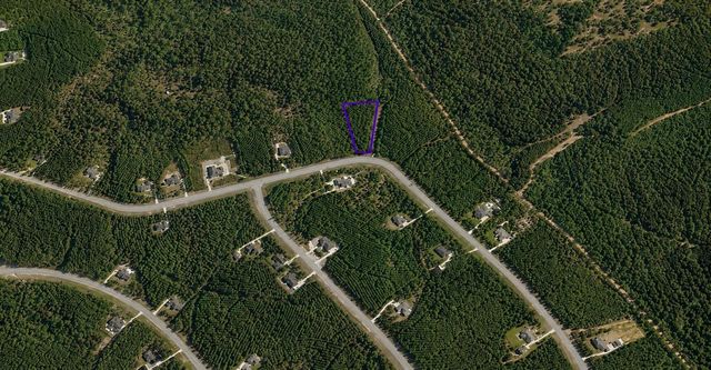 12696 Oak Barrel Road, Willis, TX 77378