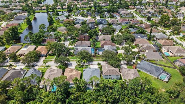 10617 WEYBRIDGE DRIVE, Tampa, FL 33626