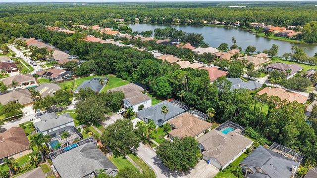 10617 WEYBRIDGE DRIVE, Tampa, FL 33626
