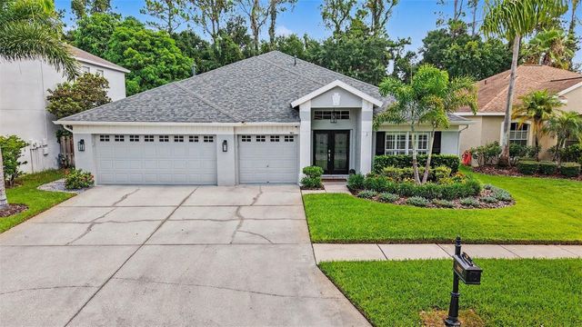 10617 WEYBRIDGE DRIVE, Tampa, FL 33626