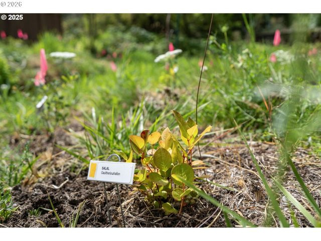 4925 Sw 153RD Ave, Beaverton, OR 97007