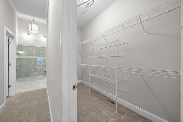 1620 Wonderboy Ct, Clarksville, TN 37042