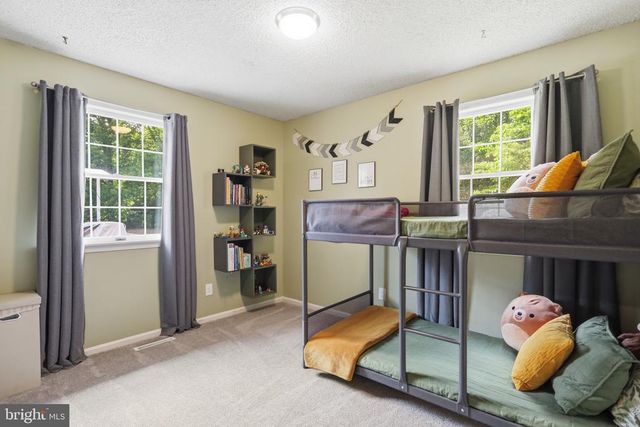 78 LIZZIE MILLS RD, Castleton, VA 22716