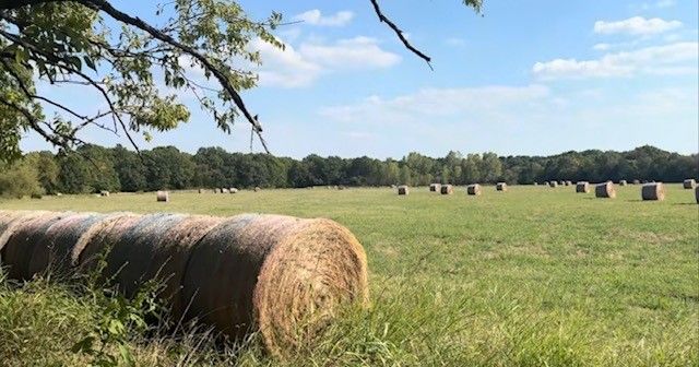 TBD Jay Road, Van Alstyne, TX 75495