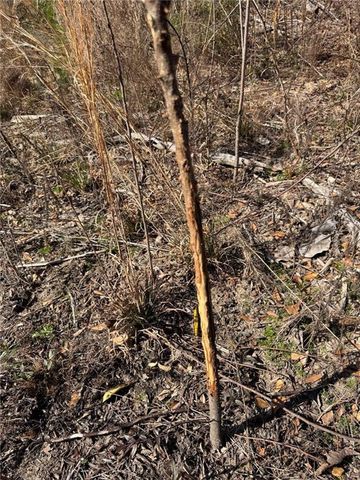 0 Moffett Road, Semmes, AL 36575