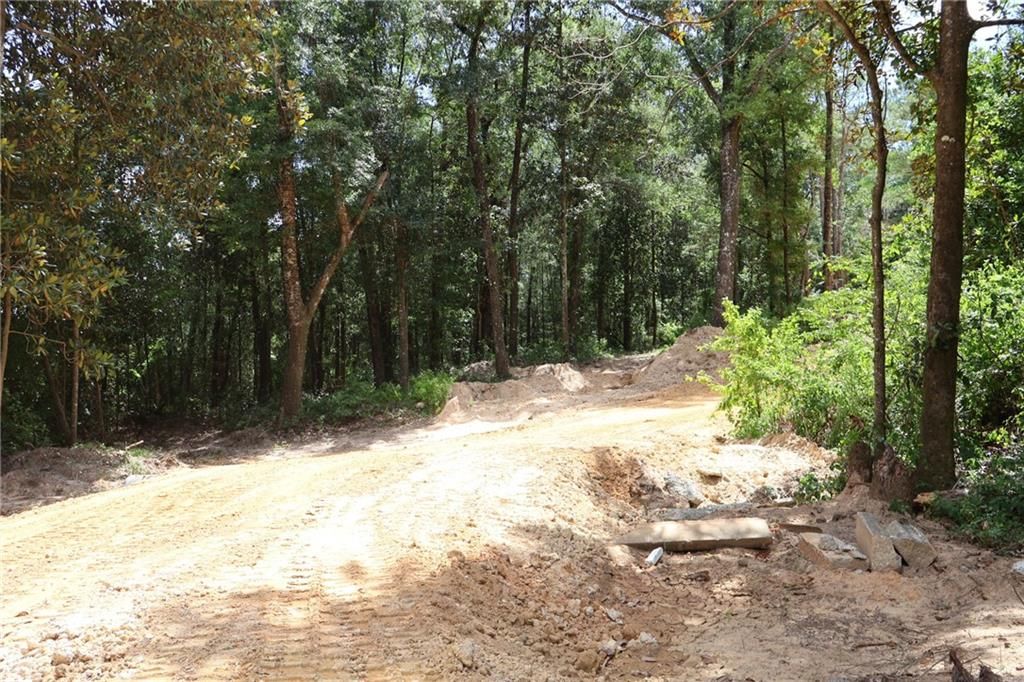 0 Moffett Road, Semmes, AL 36575 — photo 4