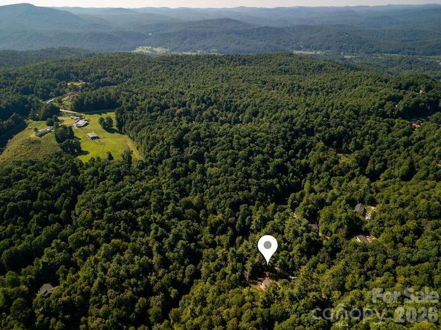 46 Old Chestnut Lane, Hendersonville, NC 28739