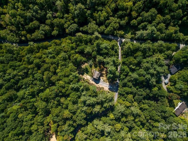 46 Old Chestnut Lane, Hendersonville, NC 28739