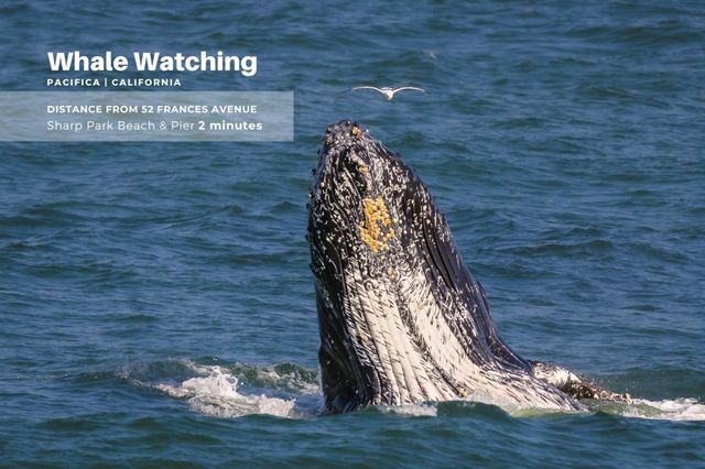 52 Frances Avenue, Pacifica, CA 94044