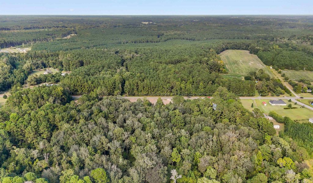 2625 Allen Dew Rd., Conway, SC 29527 — photo 5