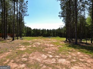 0 Phil Howe Road, Manchester, GA 31816
