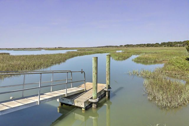 1603 Prince Edward Street, Mount Pleasant, SC 29466