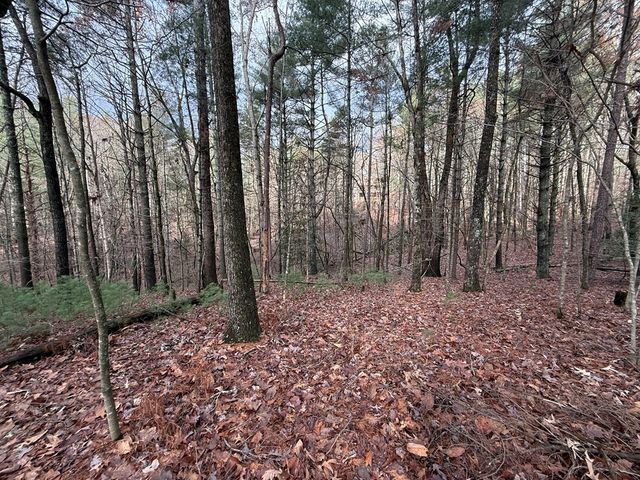 Lot 235 Toccoa Court, Ellijay, GA 30540
