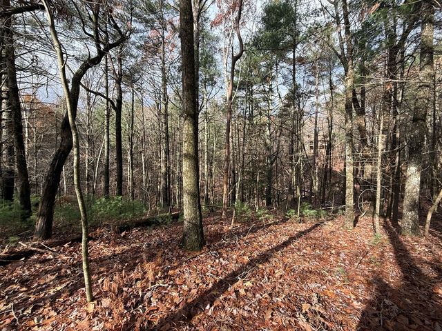 Lot 235 Toccoa Court, Ellijay, GA 30540