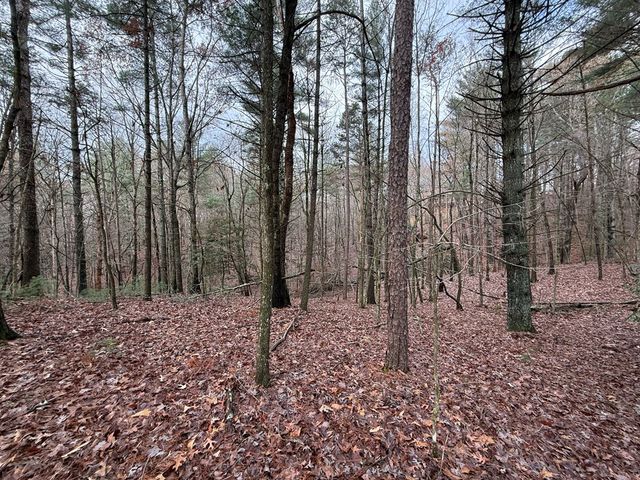 Lot 235 Toccoa Court, Ellijay, GA 30540
