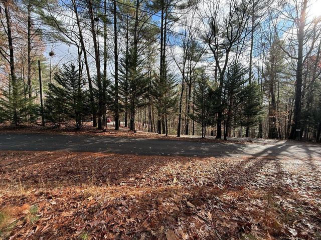 Lot 235 Toccoa Court, Ellijay, GA 30540
