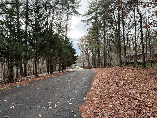 Lot 235 Toccoa Court, Ellijay, GA 30540