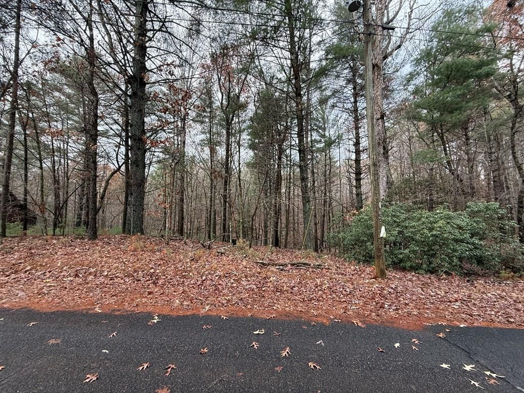 Lot 235 Toccoa Court, Ellijay, GA 30540