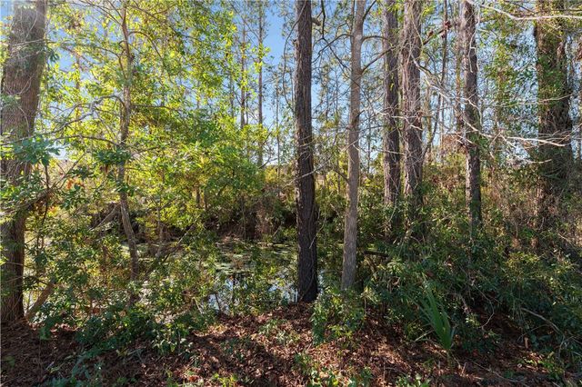 226 Snapper Trail, Brunswick, GA 31525