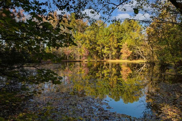 220 Wayne McCaw Road, Irmo, SC 29063