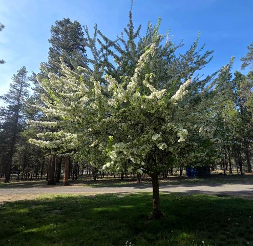 53156 Day Road, La Pine, OR 97739