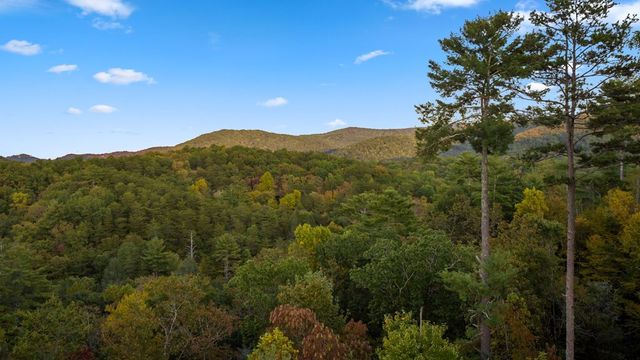 709 Laurel Creek Trail, Blue Ridge, GA 30513