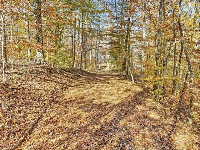 960 Riverview Road, Spencer, VA 24165