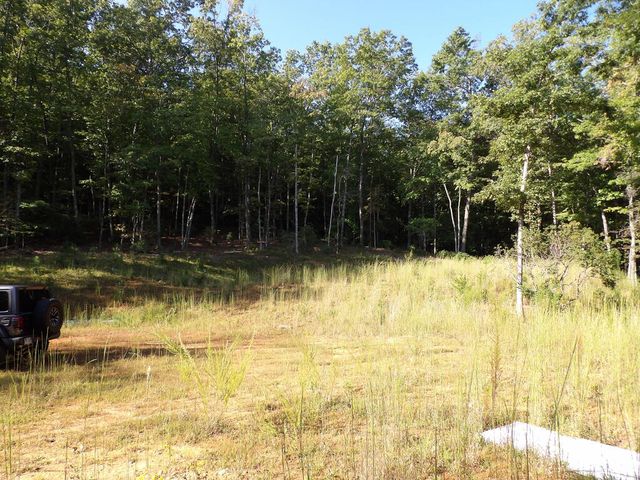 349 Old Ferguson Town Road, Hiawassee, GA 30546