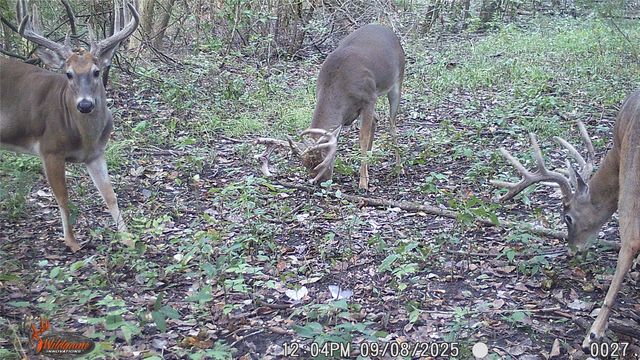 4640 Noell Road, Anna, TX 75409