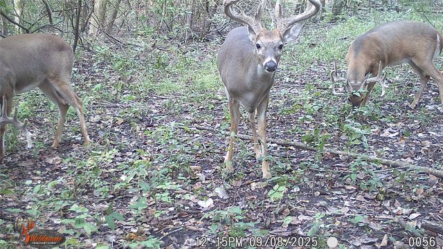 4640 Noell Road, Anna, TX 75409