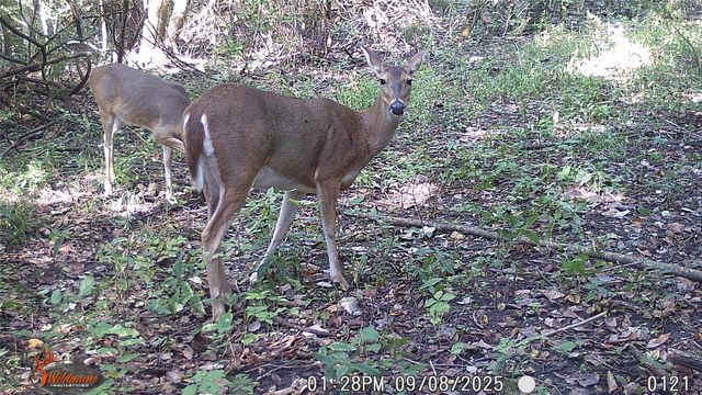 4640 Noell Road, Anna, TX 75409