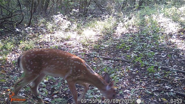 4640 Noell Road, Anna, TX 75409