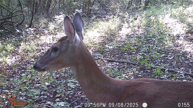 4640 Noell Road, Anna, TX 75409