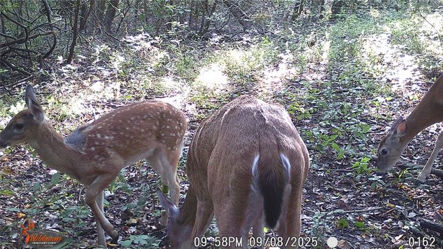 4640 Noell Road, Anna, TX 75409