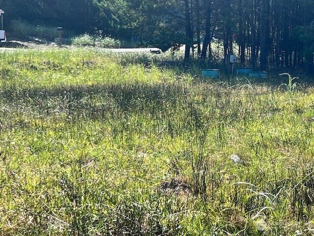 30305 I Street, Ocean Park, WA 98640