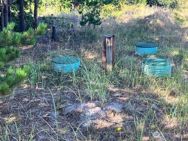 30305 I Street, Ocean Park, WA 98640