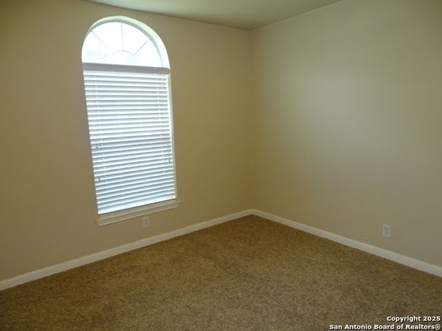 3317 orth, Schertz, TX 78108