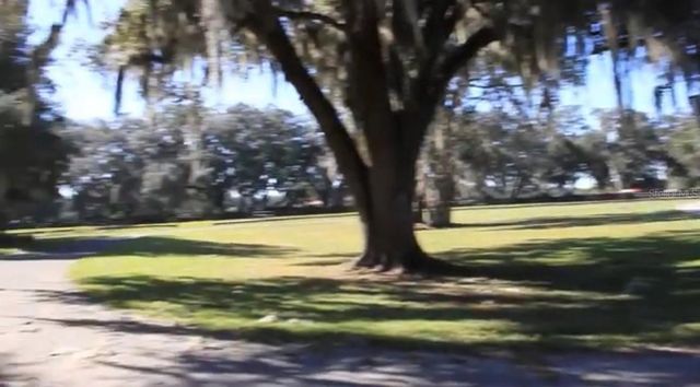 9400 NW 160TH STREET, Reddick, FL 32686