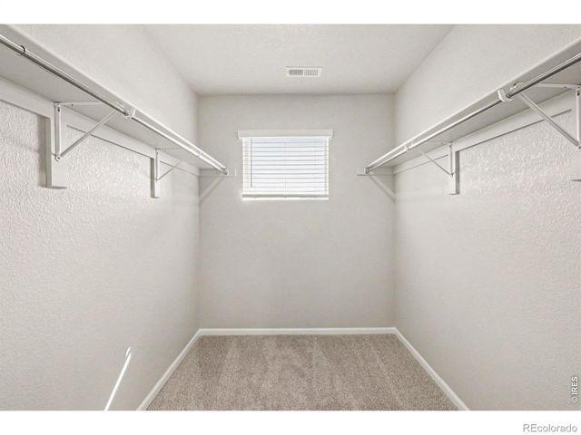 1594 Riverplace Drive, Windsor, CO 80550