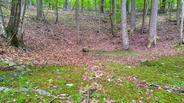 180 Misty Woods Drive, Blountville, TN 37617