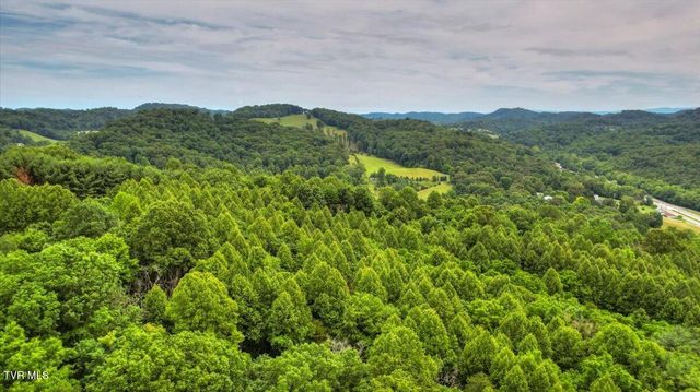 180 Misty Woods Drive, Blountville, TN 37617