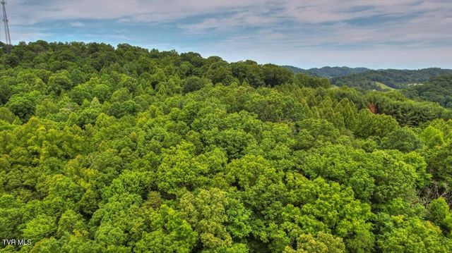 180 Misty Woods Drive, Blountville, TN 37617