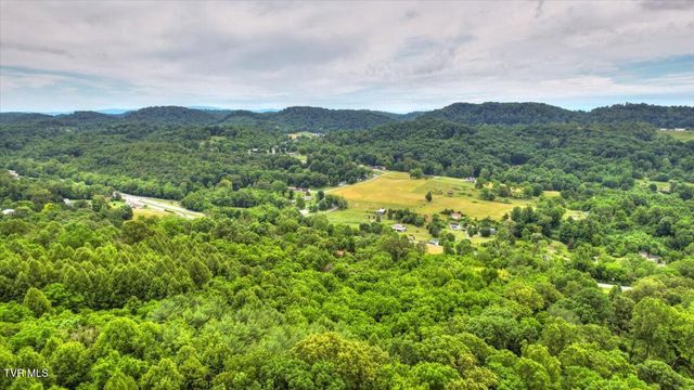 180 Misty Woods Drive, Blountville, TN 37617